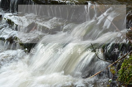 逾期贷款利率逾期1年 逾期贷款利率逾期1年