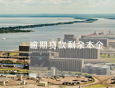 逾期贷款剩余本金
