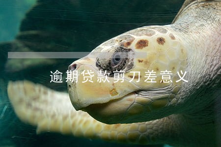 逾期贷款剪刀差意义 逾期贷款剪刀差意义