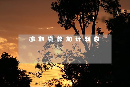 逾期贷款加计利息 逾期贷款加计利息