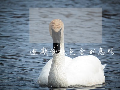 逾期贷款包含利息吗 逾期贷款包含利息吗