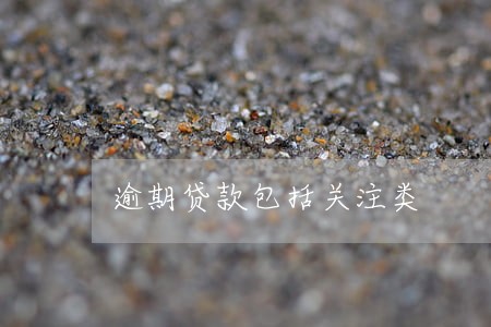逾期贷款包括关注类 逾期贷款包括关注类