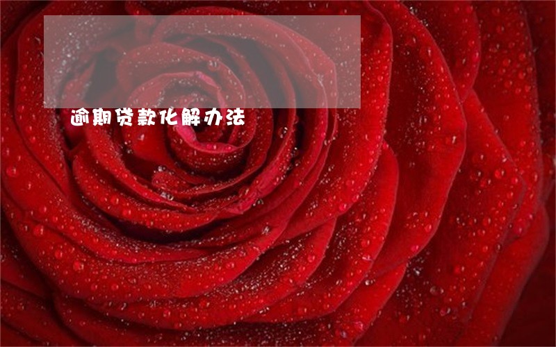 逾期贷款化解办法 逾期贷款化解办法