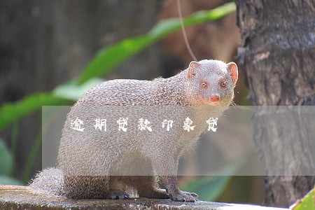 逾期贷款印象贷 逾期贷款印象贷