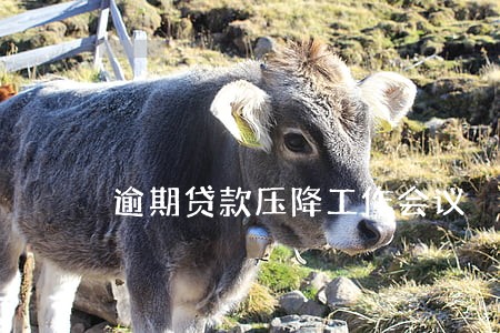 逾期贷款压降工作会议