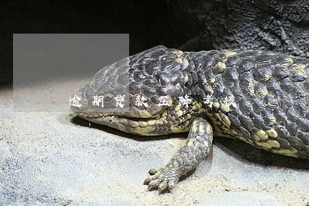 逾期贷款压降考核