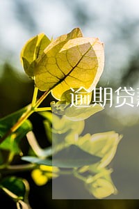 逾期贷款去哪里申诉 逾期贷款去哪里申诉