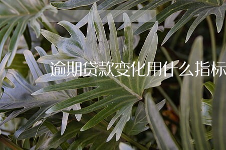 逾期贷款变化用什么指标显示 逾期贷款变化用什么指标显示