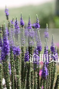 逾期贷款口子不上征信 逾期贷款口子不上征信