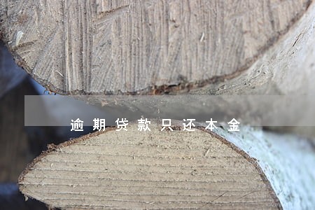 逾期贷款只还本金 逾期贷款只还本金
