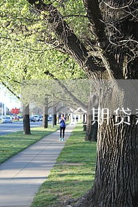 逾期贷款可以分期还吗 逾期贷款可以分期还吗