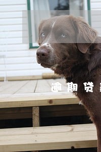 逾期贷款可以多长时间 逾期贷款可以多长时间