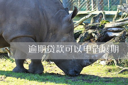 逾期贷款可以申请展期 逾期贷款可以申请展期