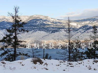 逾期贷款含不良贷款吗 逾期贷款含不良贷款吗