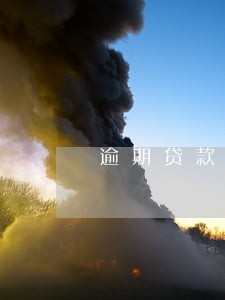 逾期贷款呆滞贷款呆账贷款定义 逾期贷款呆滞贷款呆账贷款定义