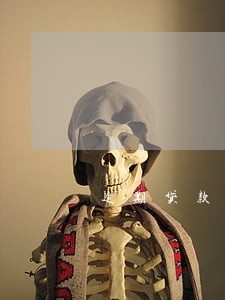逾期贷款呆账贷款 逾期贷款呆账贷款