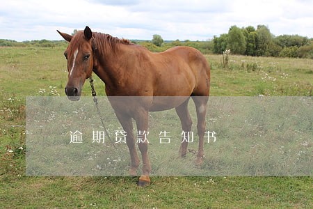 逾期贷款告知书 逾期贷款告知书