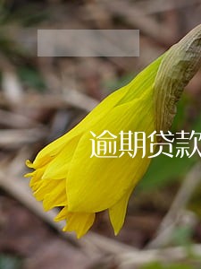 逾期贷款和不良贷款剪刀差 逾期贷款和不良贷款剪刀差