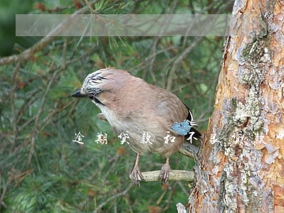 逾期贷款和不良贷款哪个大 逾期贷款和不良贷款哪个大