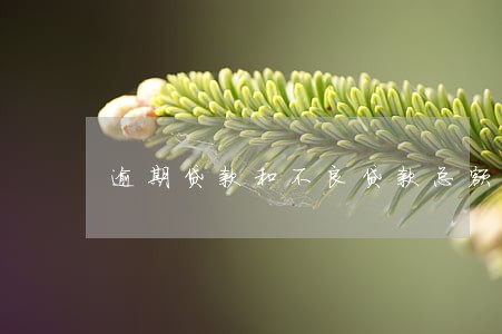 逾期贷款和不良贷款总额 逾期贷款和不良贷款总额