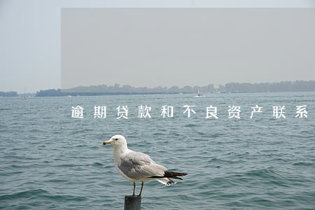 逾期贷款和不良资产联系 逾期贷款和不良资产联系