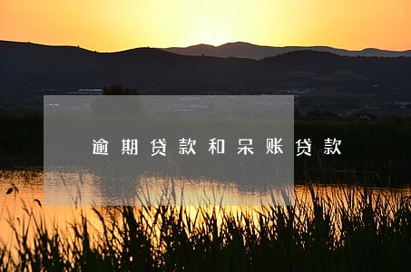 逾期贷款和呆账贷款 逾期贷款和呆账贷款