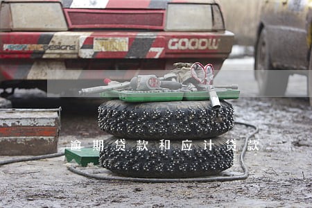 逾期贷款和应计贷款 逾期贷款和应计贷款