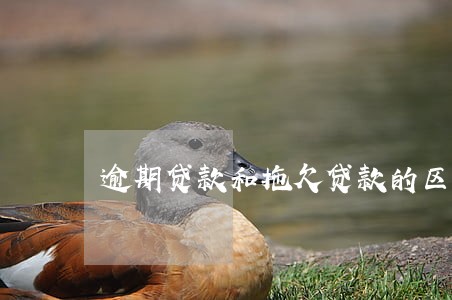 逾期贷款和拖欠贷款的区别