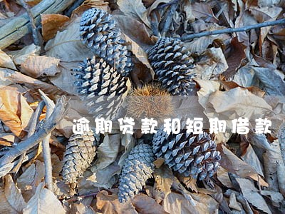 逾期贷款和短期借款
