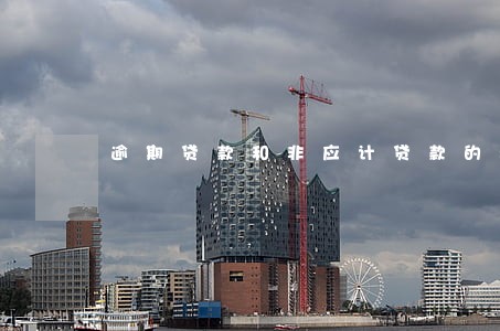 逾期贷款和非应计贷款的确认标准 逾期贷款和非应计贷款的确认标准