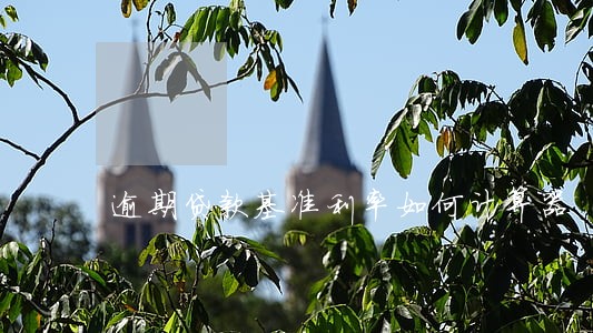 逾期贷款基准利率如何计算器 逾期贷款基准利率如何计算器