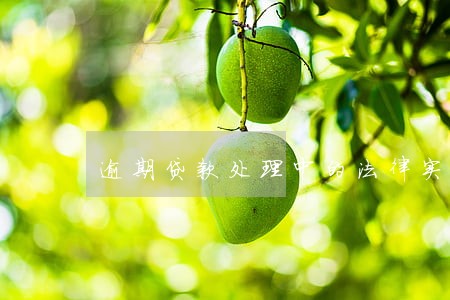 逾期贷款处理中的法律实务 逾期贷款处理中的法律实务