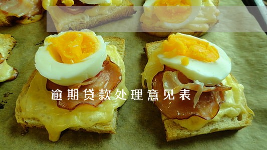 逾期贷款处理意见表 逾期贷款处理意见表