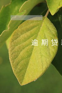 逾期贷款处置形势 逾期贷款处置形势