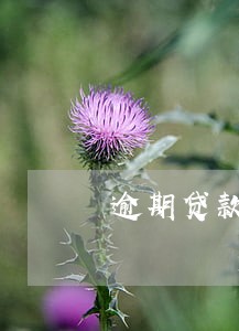 逾期贷款处置措施报告