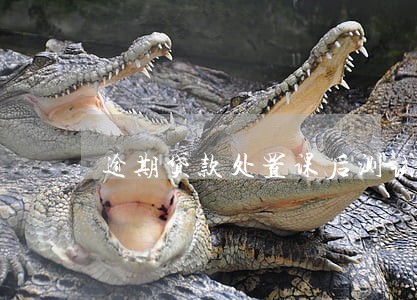 逾期贷款处置课后测试 逾期贷款处置课后测试