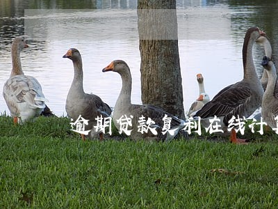 逾期贷款复利在线计算 逾期贷款复利在线计算