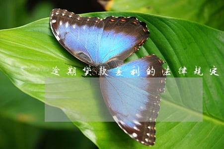 逾期贷款复利的法律规定 逾期贷款复利的法律规定