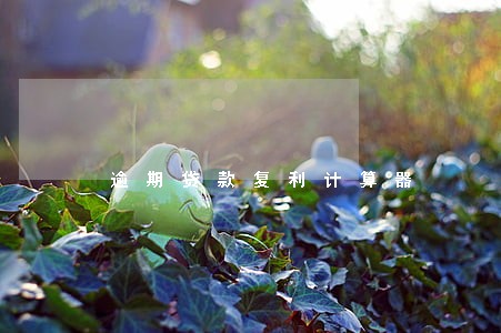 逾期贷款复利计算器 逾期贷款复利计算器