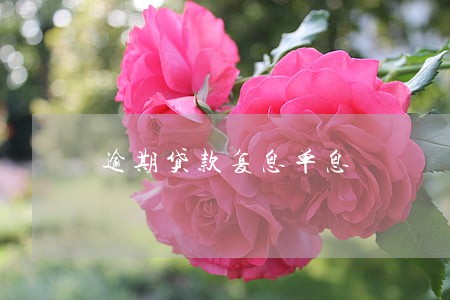 逾期贷款复息单息 逾期贷款复息单息