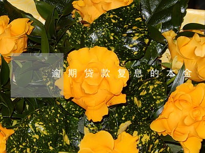 逾期贷款复息的本金 逾期贷款复息的本金