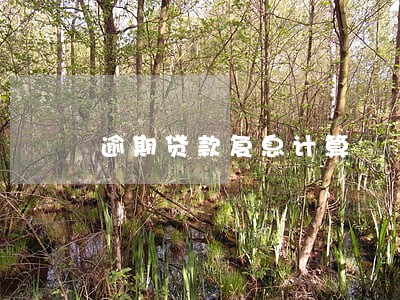 逾期贷款复息计算