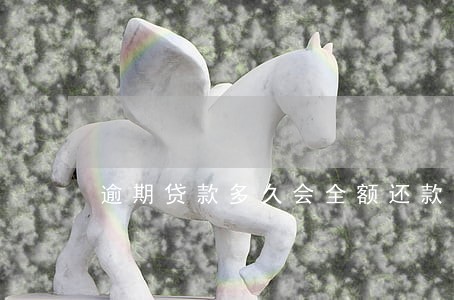 逾期贷款多久会全额还款 逾期贷款多久会全额还款