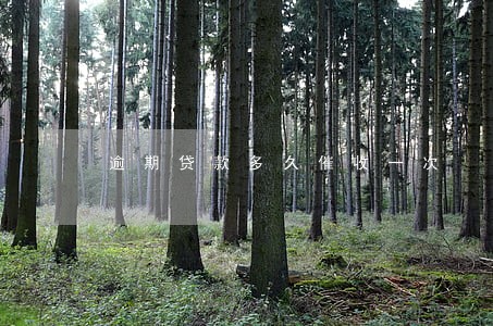 逾期贷款多久催收一次 逾期贷款多久催收一次