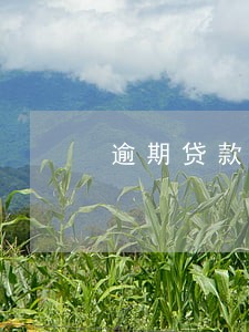 逾期贷款多久消除 逾期贷款多久消除