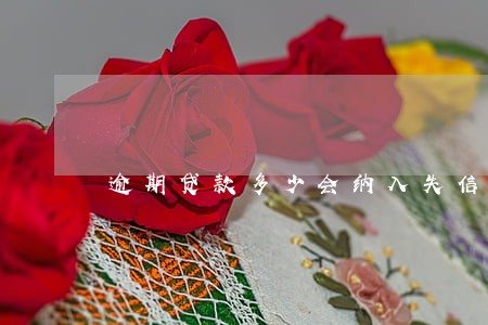 逾期贷款多少会纳入失信 逾期贷款多少会纳入失信