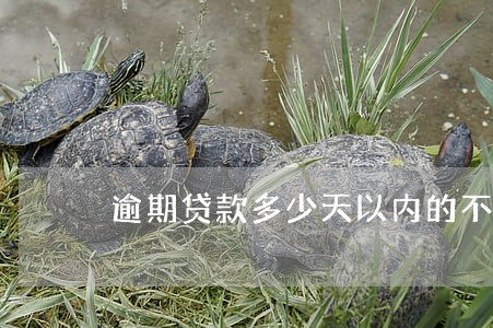 逾期贷款多少天以内的不良贷款 逾期贷款多少天以内的不良贷款