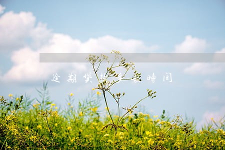 逾期贷款多长时间 逾期贷款多长时间