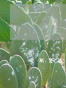 逾期贷款天天打电话 逾期贷款天天打电话
