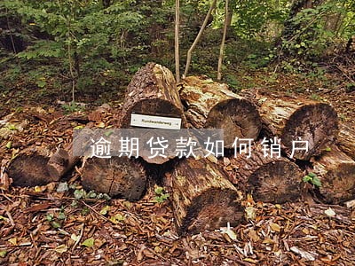 逾期贷款如何销户 逾期贷款如何销户